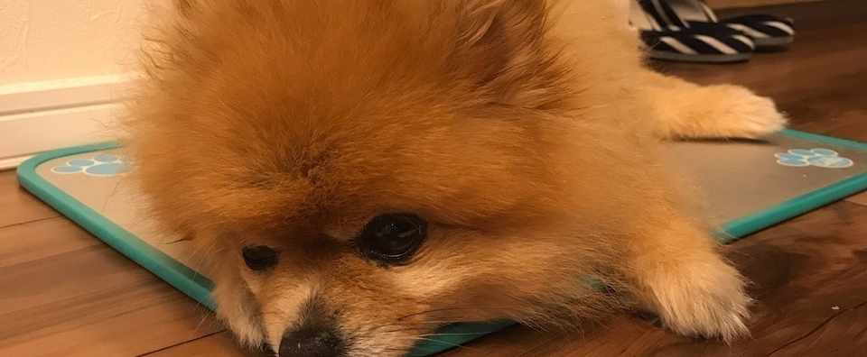 006 元カノや元妻の話は 聞きたくない じゃなくて むしろ積極的に傾聴せよ スピ婚 菊池とおこ Note