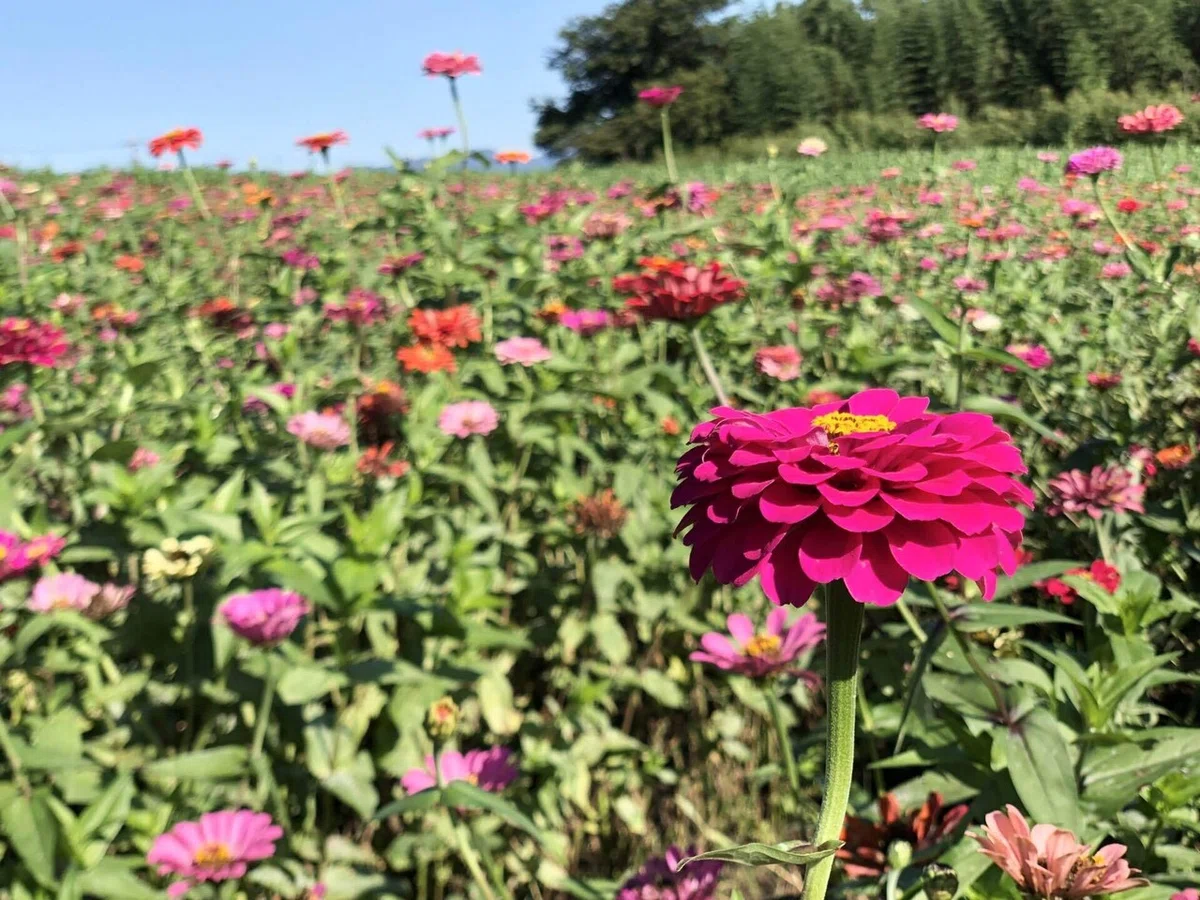 画像19