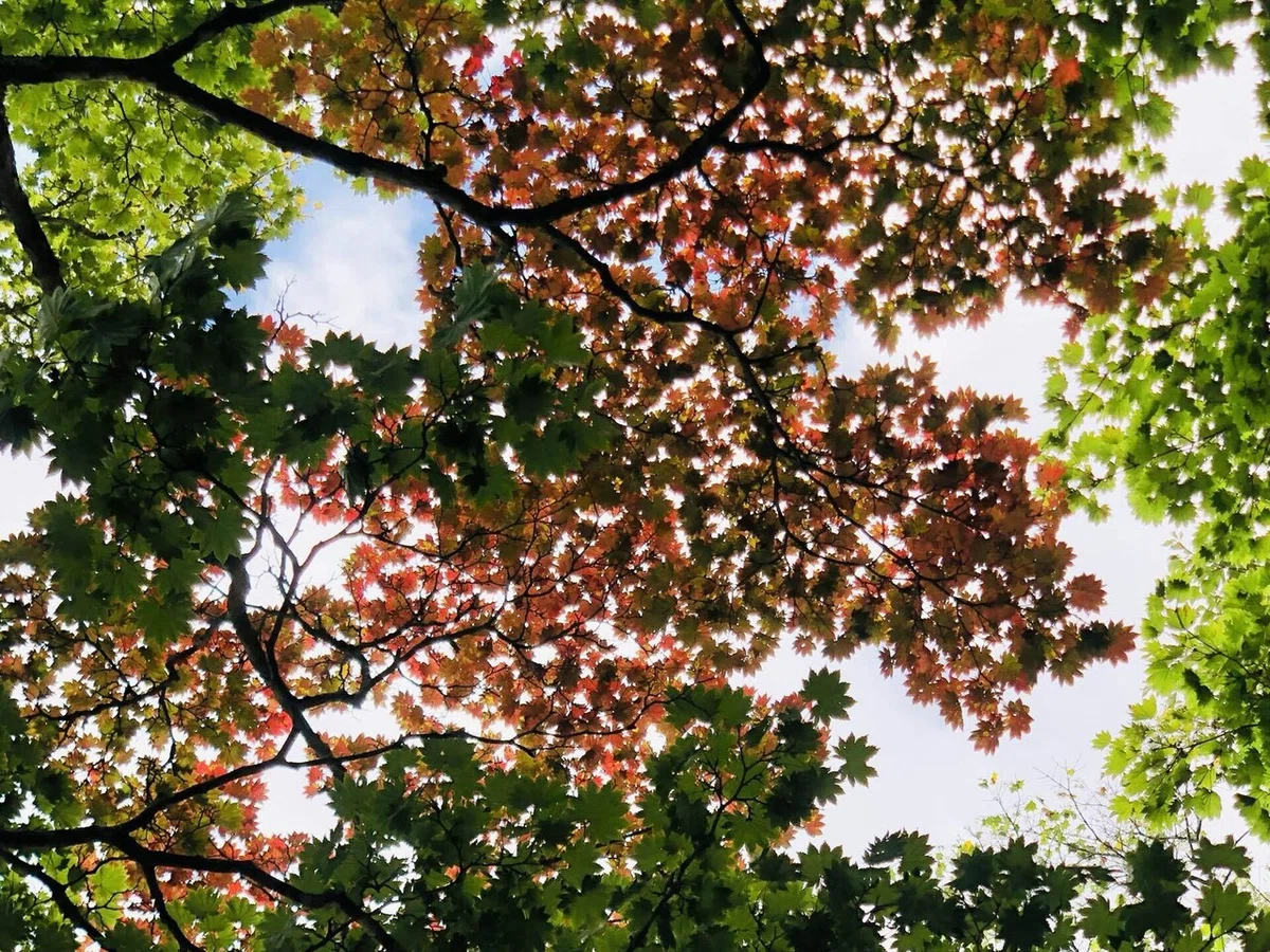 画像29