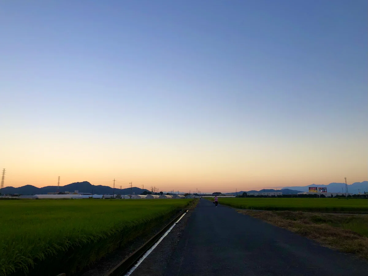 画像31
