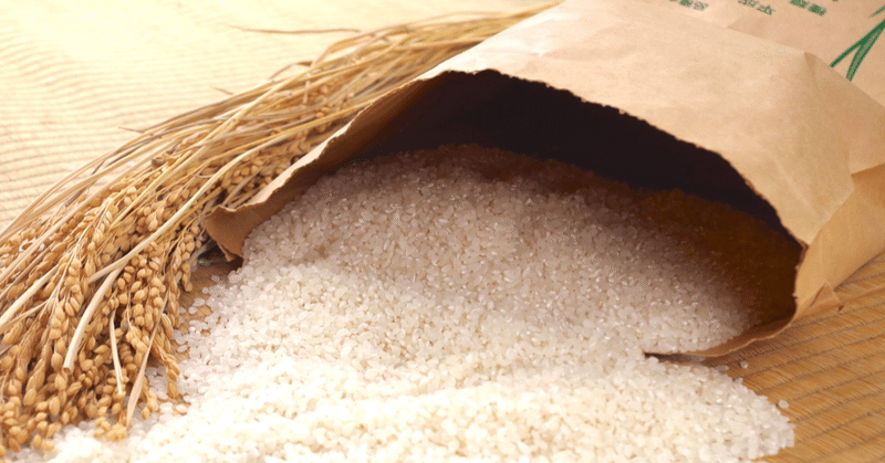 お米屋さんが教える、お勧めのお米保管方法