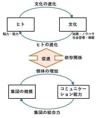 文化とヒトの共進化