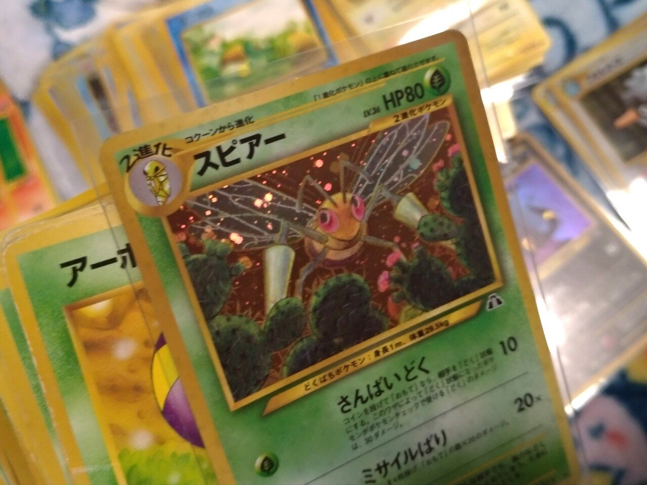 ポケカの「うずまき」何個さがせるか?|豚身昼斗念 ポケカの「うずまき」何個さがせるか?|豚身昼斗念