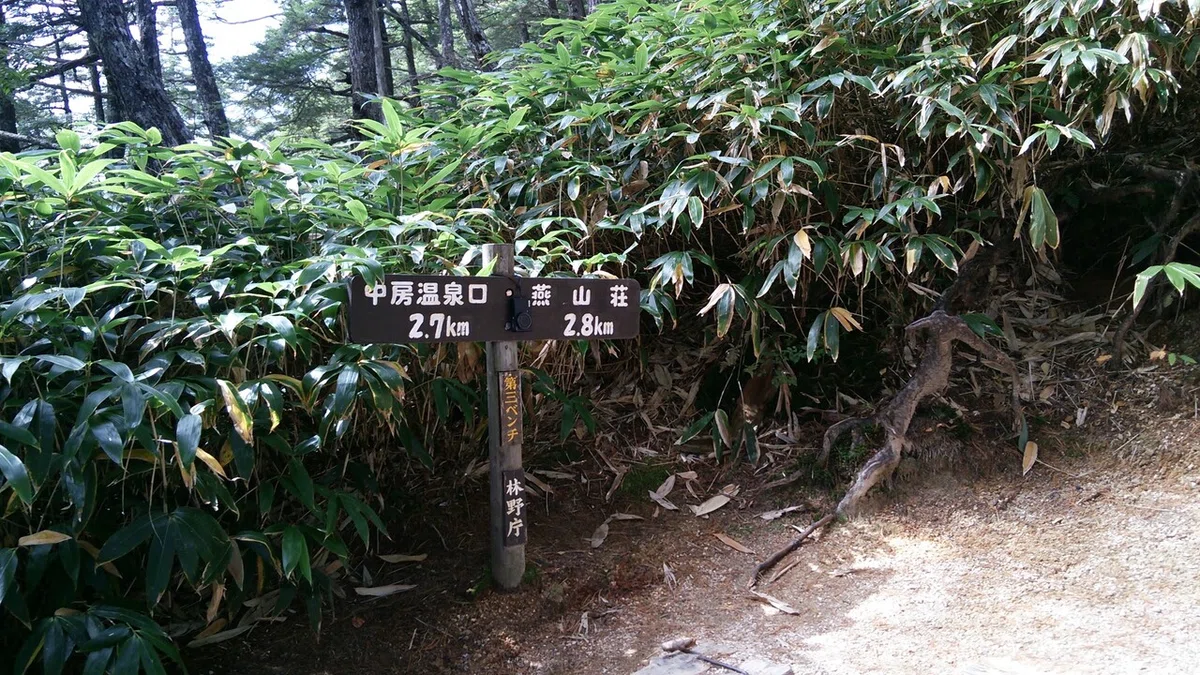 画像16