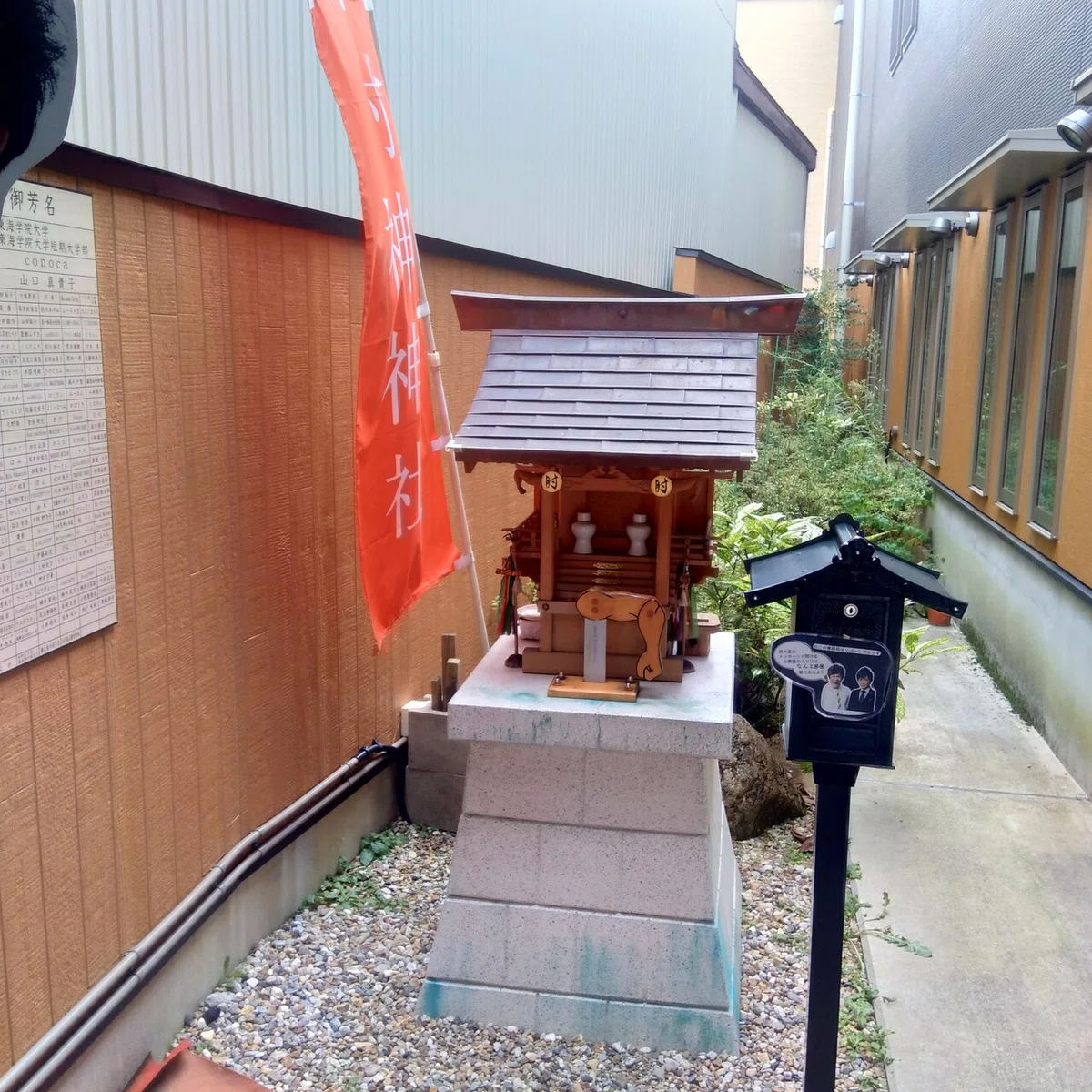 画像8