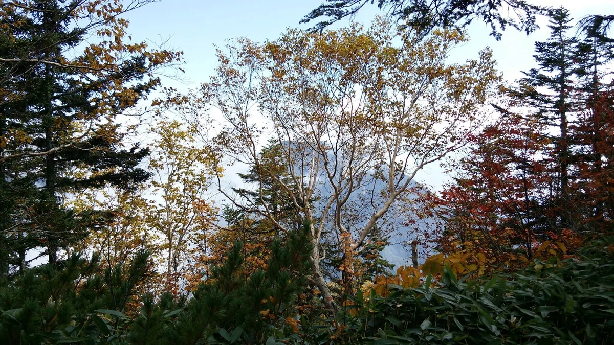画像17