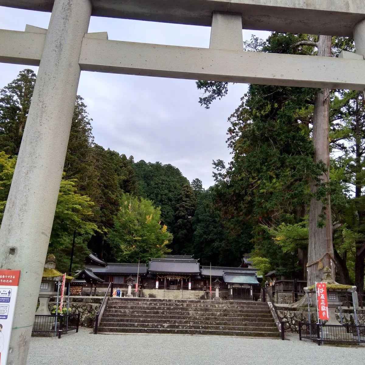 画像12