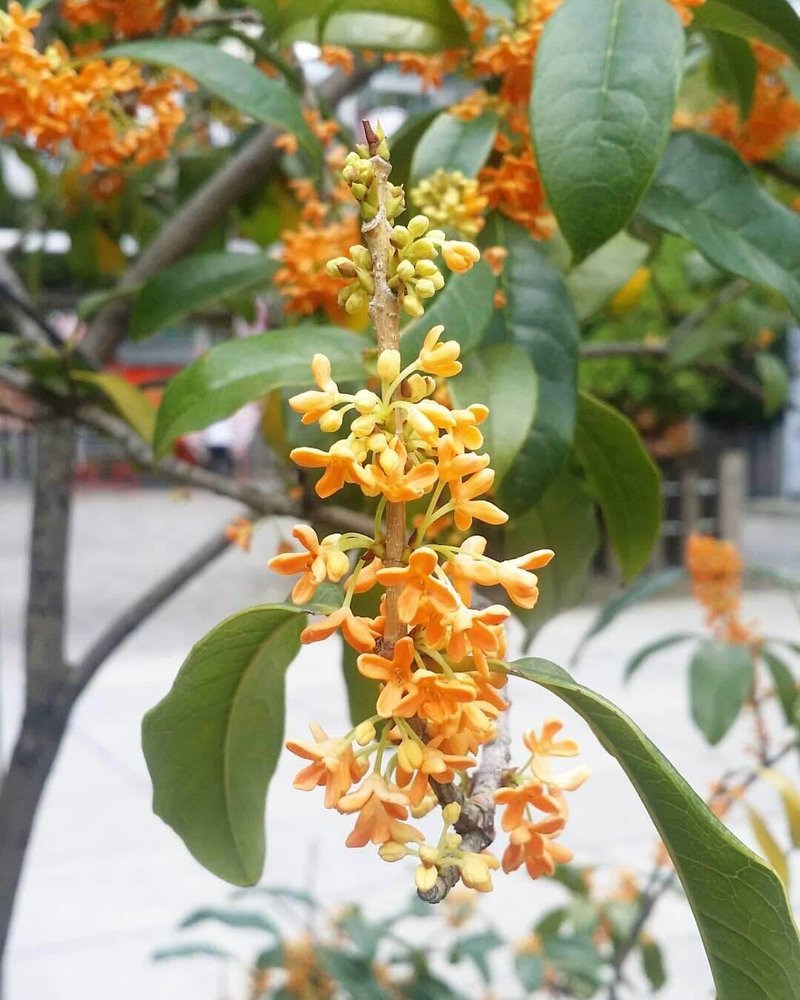 好きな人のタイプ の新着タグ記事一覧 Note つくる つながる とどける