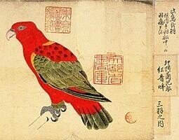 第1772回 江戸鳥図 ⑶｜翆野 大地