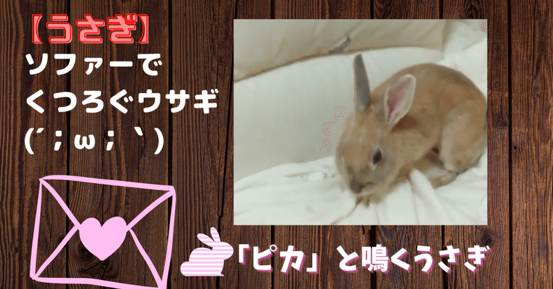 うさぎのいる生活 の新着タグ記事一覧 Note つくる つながる とどける うさぎのいる生活 の新着タグ記事一覧 Note つくる つながる とどける