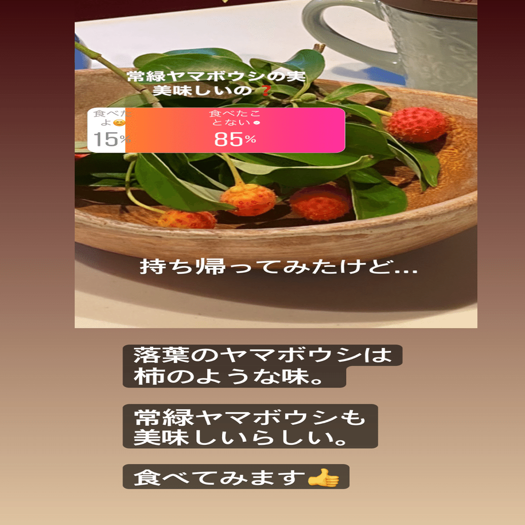 樹になる気になる実のなる樹ーヤマボウシの実を食べてみた Haco ガーデンプランナー 庭のある暮らし植物のある暮らし Note