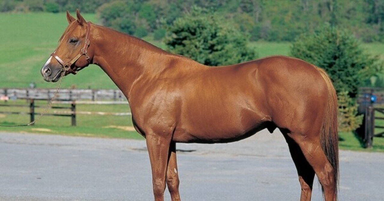 社台のサンデーサイレンスに対抗する為に 約44億円 41株 という破格のシンジケートが組まれた 神の子 ラムタラ のお話 さだぼー 走らせる側に立って考える Note 社台のサンデーサイレンスに対抗する為に 約44億円 41株 という破格のシンジケートが組まれた 神の子 ラムタラ のお話 さだぼー 走らせる側に立って考える Note