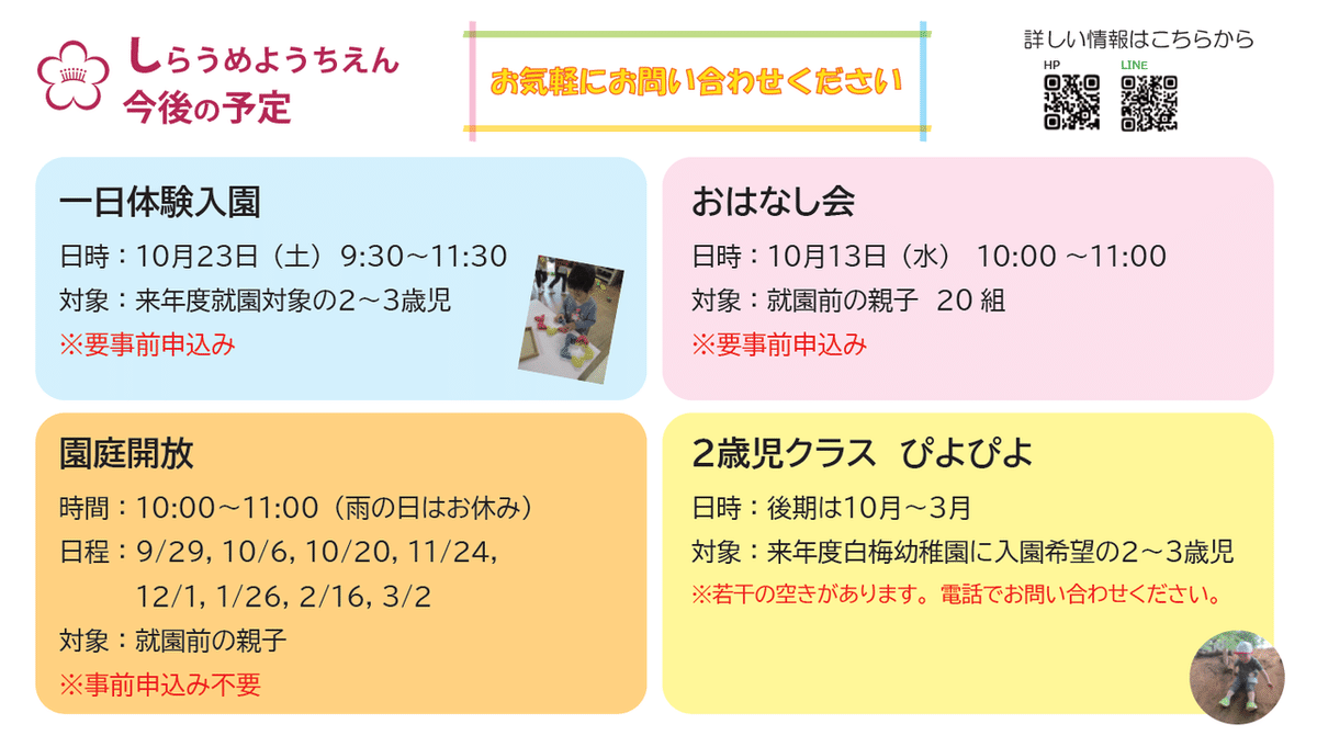 ９月白梅