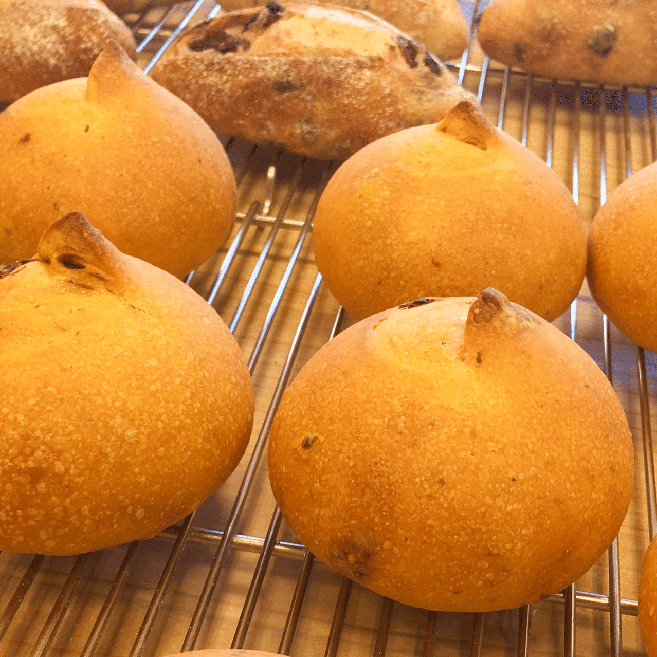 トマト生地のパンっておいしいよ Threebread Note