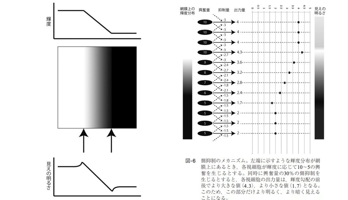 画像37