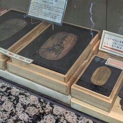第36回 銀座コインオークション(2024/11) 下見の感想｜オーライズドコイン