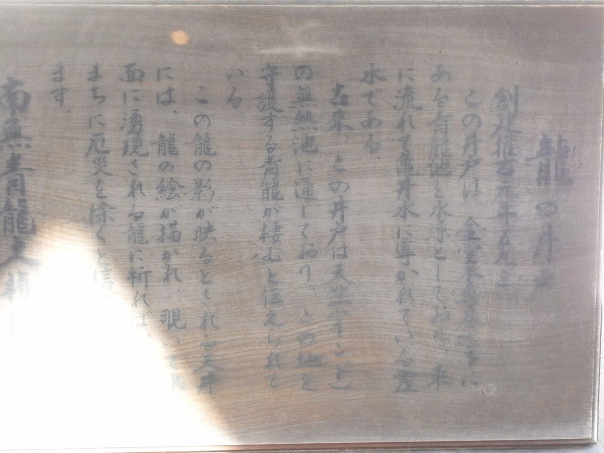 画像8