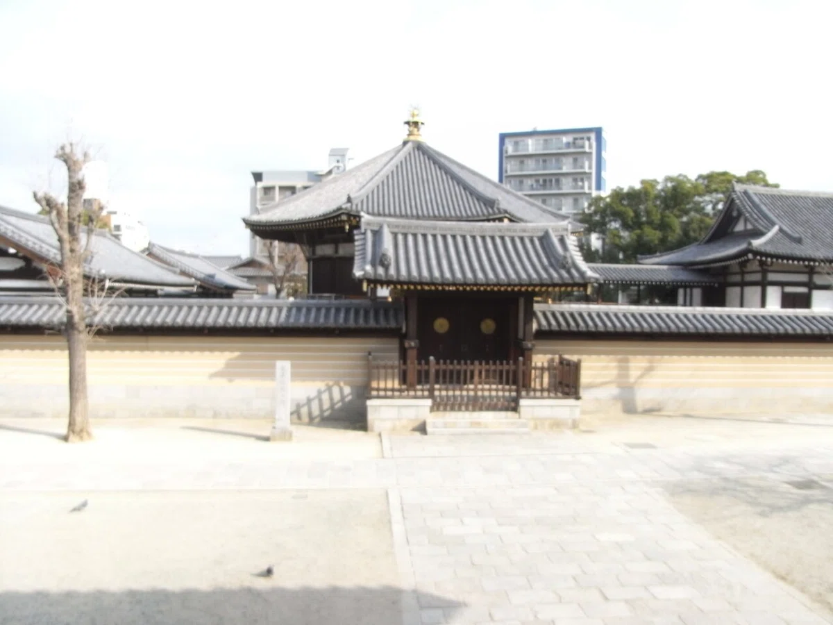 画像12