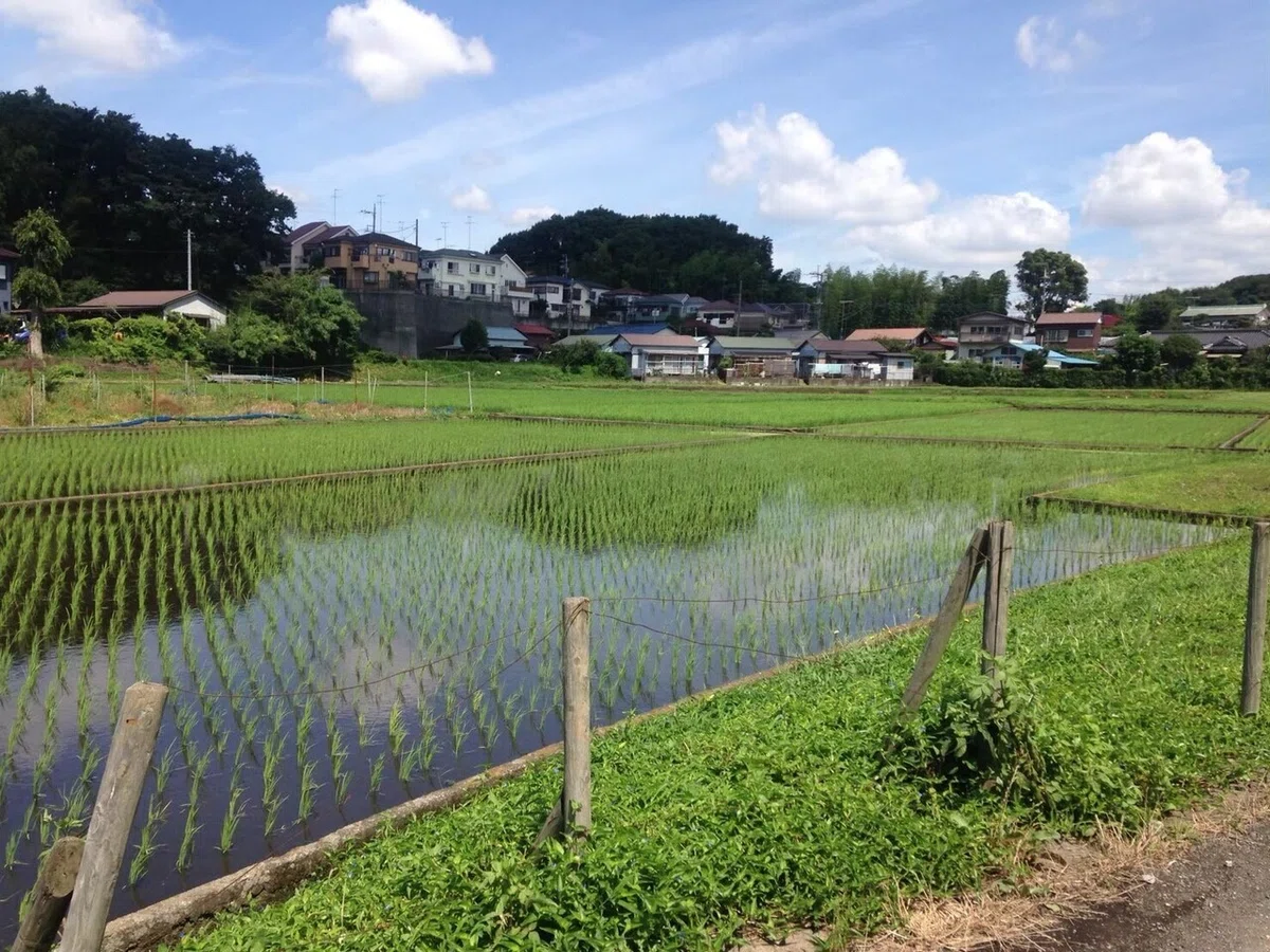 画像11