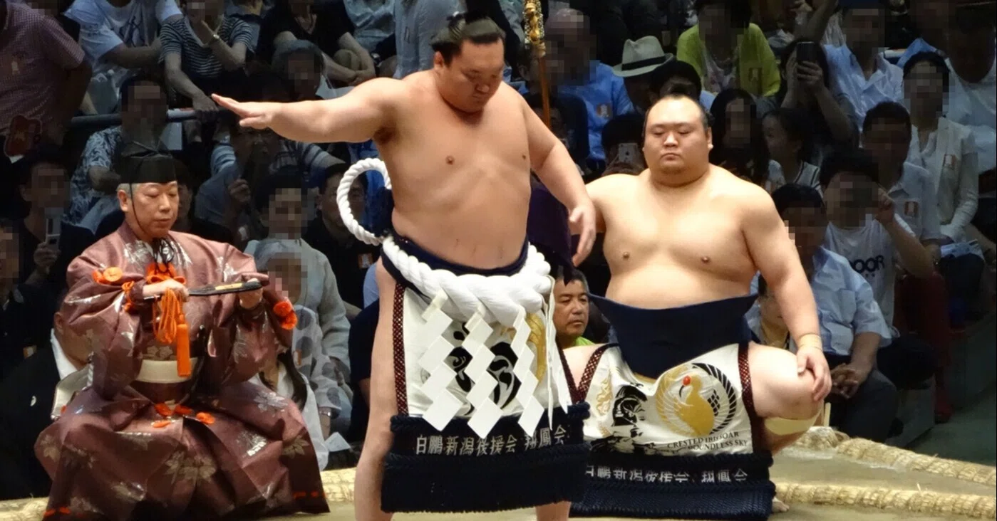 リリー☆　大相撲　横綱白鵬　反物　ハギレ 大相撲 元横綱白鵬関 反物はぎれ 約188cm - メルカリ