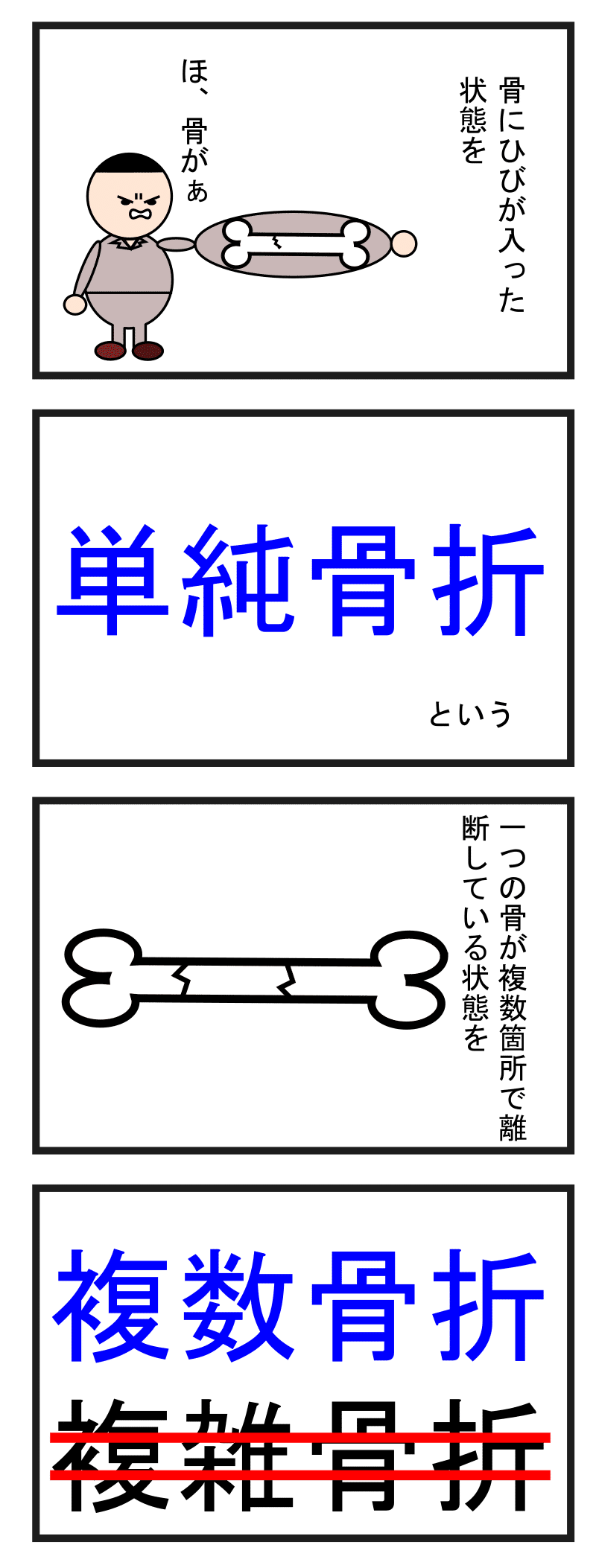 第28話 骨折(1) 単純骨折、複数骨折(重複骨折)｜ずんだーれ