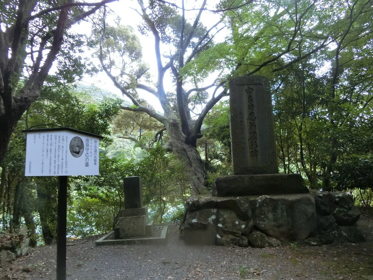 画像4