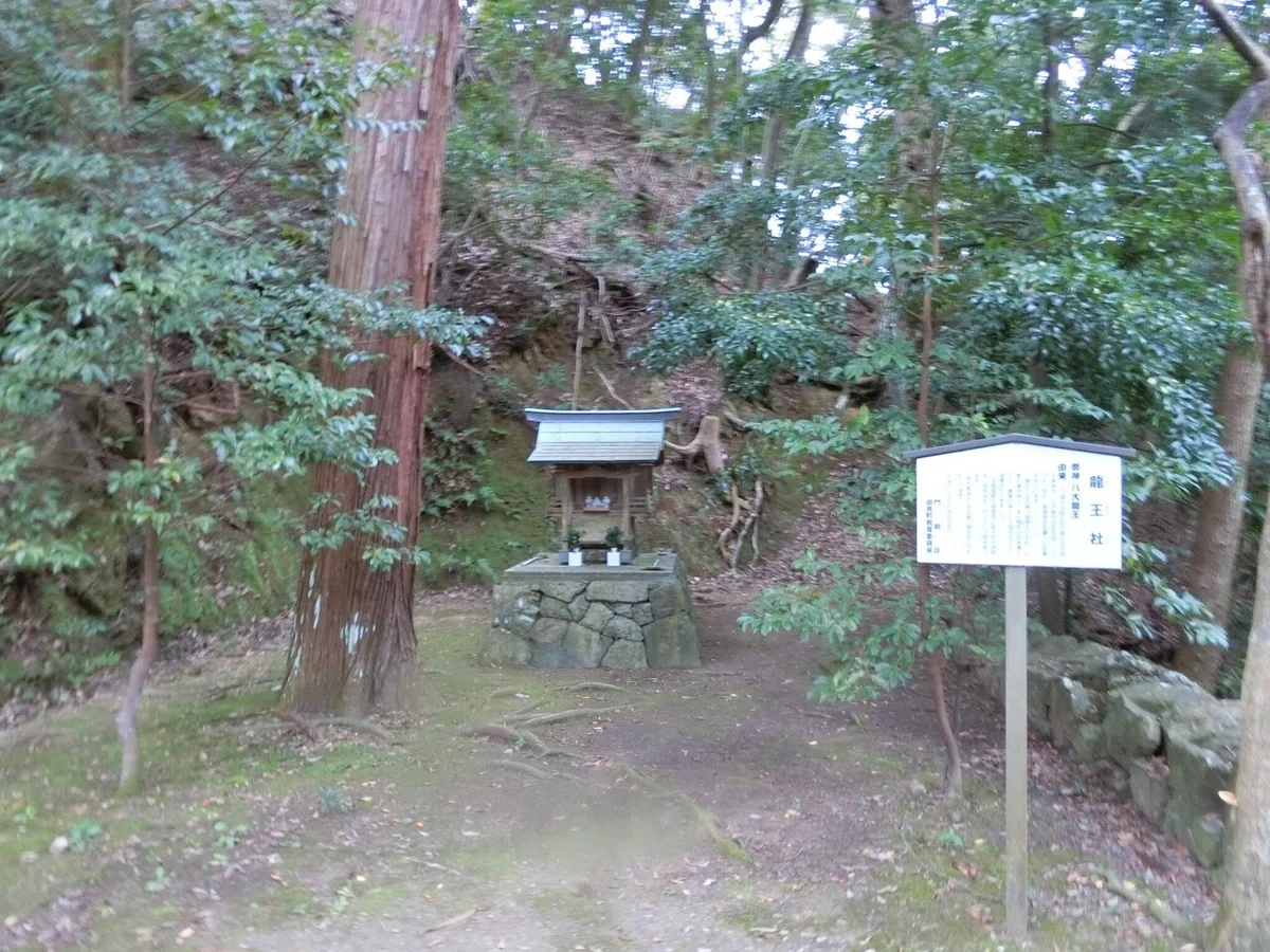 画像5