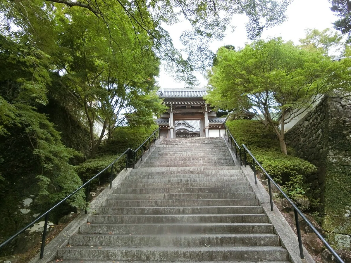 画像6