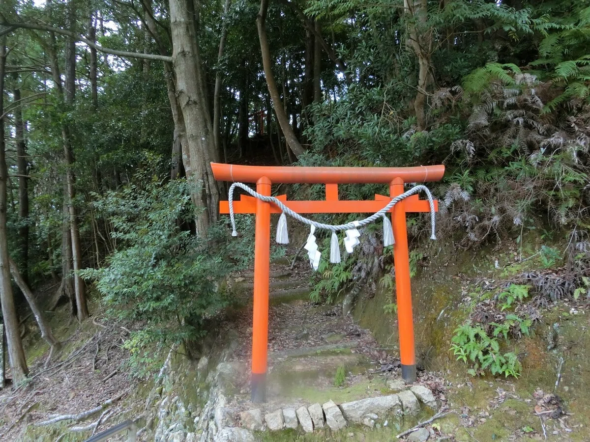 画像14