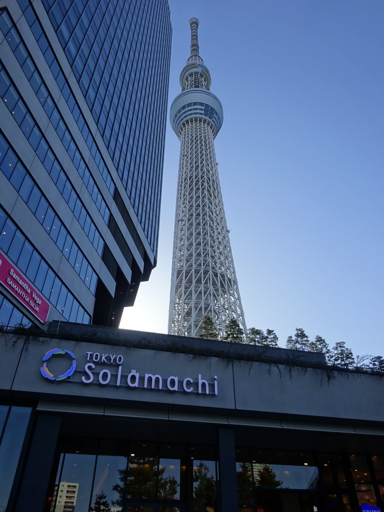 東京】東京スカイツリータウン・ソラマチのソフトクリームガイド（2021