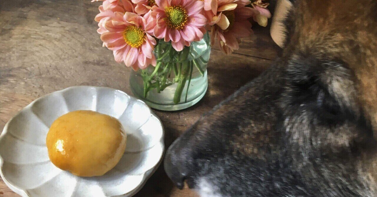 菊芋の花茶 の新着タグ記事一覧 Note つくる つながる とどける