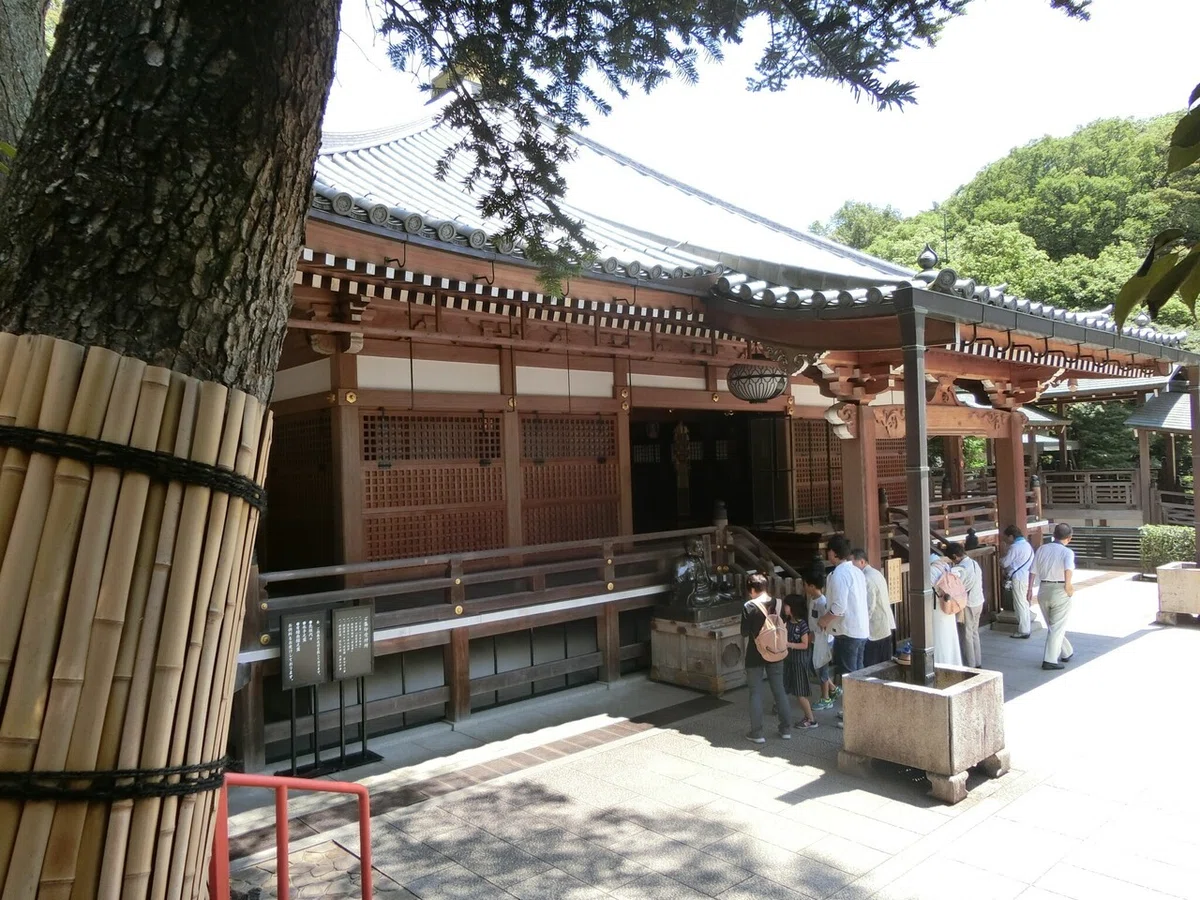 画像7