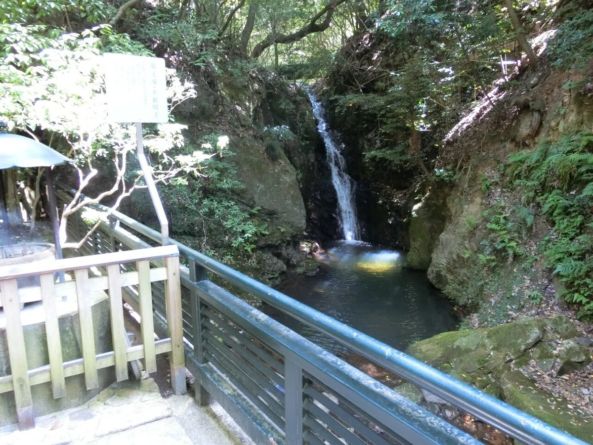 画像9