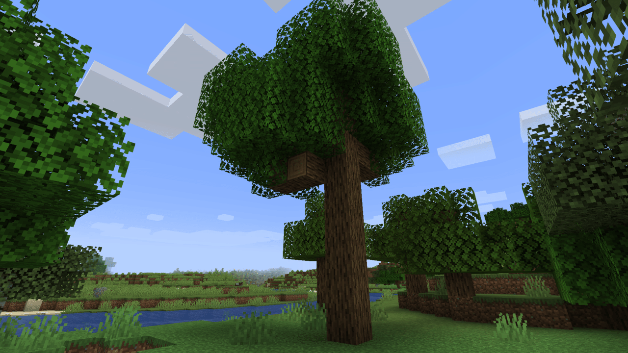 マイクラに出てくるアイテムの実物を調べる 樫の木 コニ Note マイクラに出てくるアイテムの実物を調べる 樫の木 コニ Note