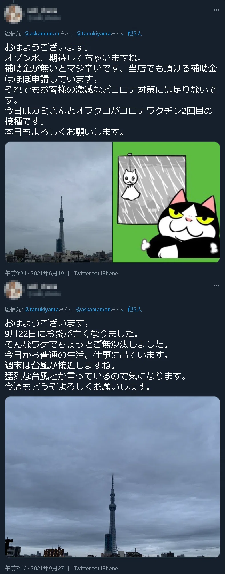 モザイク saki ohana san no haha