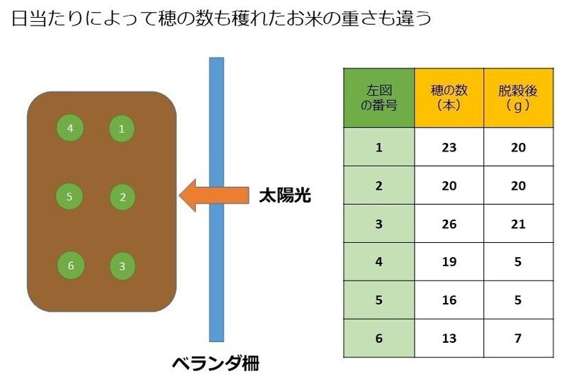 脱穀後まとめ