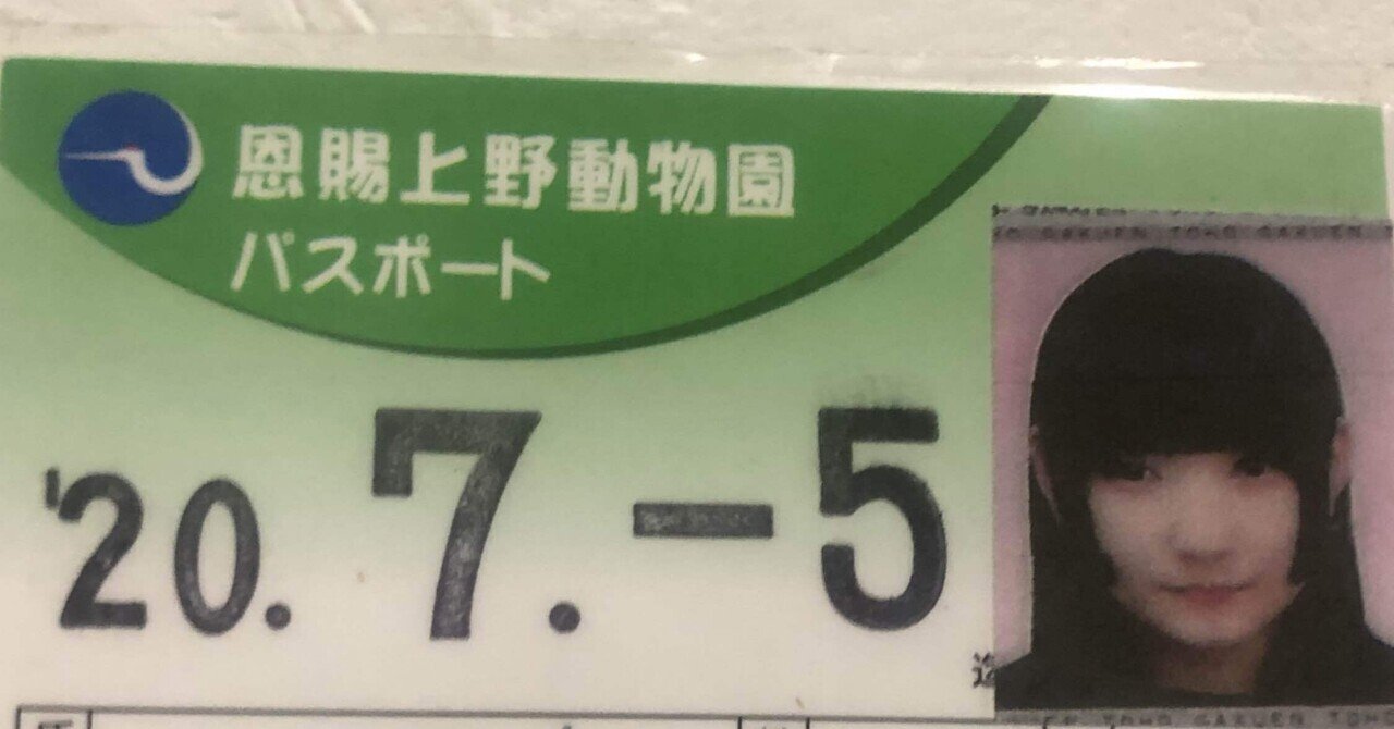 でか強 ゾウさんの好きなところ3選 Mepo ダダダムズ Note