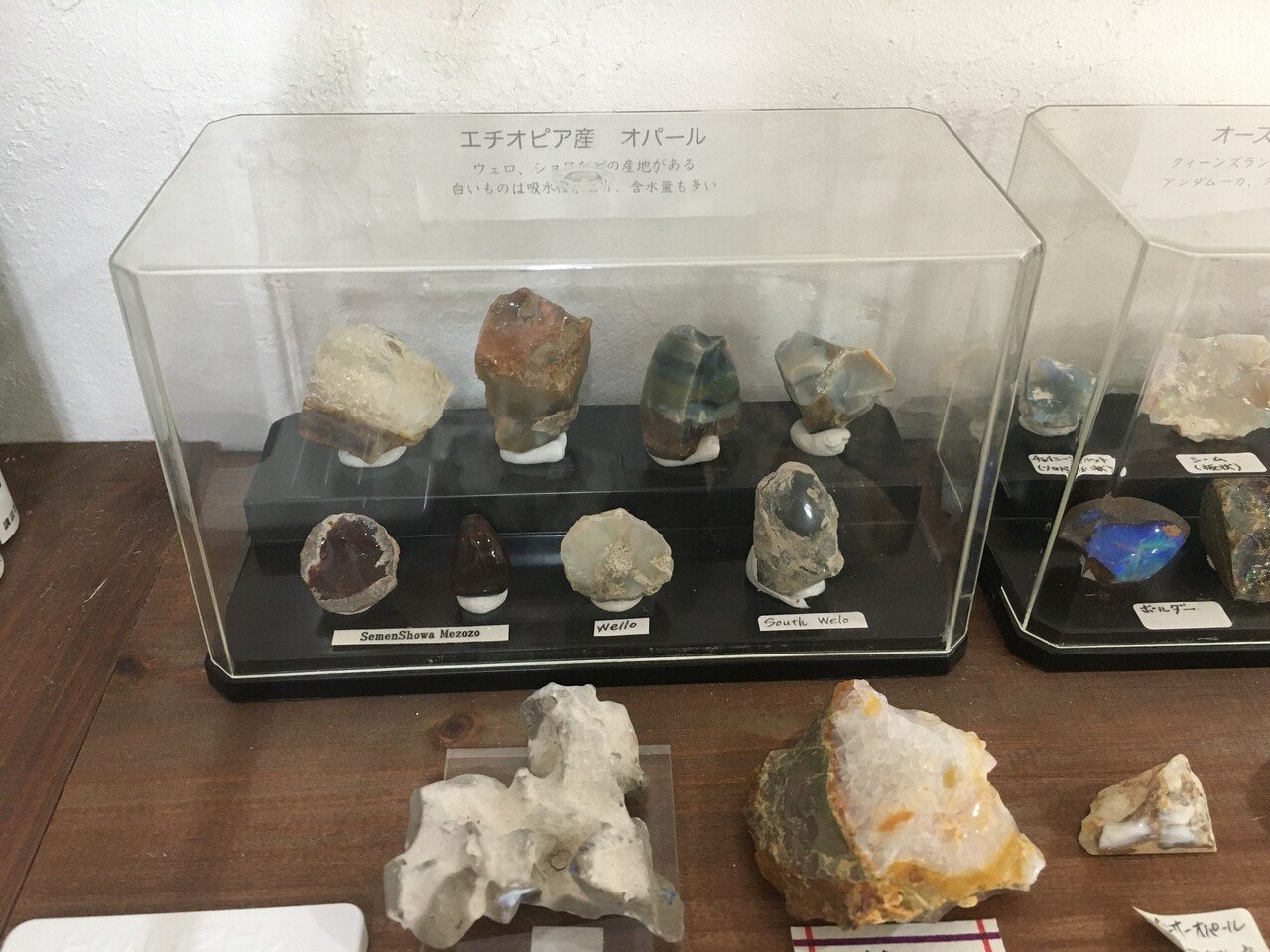 エチオピアオパール国立科学博物館