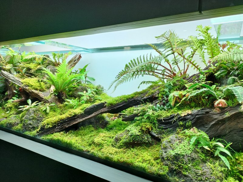 展示会log 21秋 Nature Aquarium Exhibition 21 Tokyo Sanponeko Note 展示会log 21秋 Nature Aquarium Exhibition 21 Tokyo Sanponeko Note