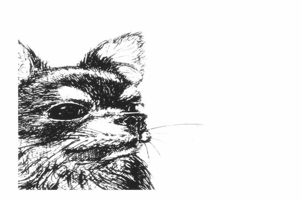 ボールペン画 の定番タグ記事一覧 Note つくる つながる とどける