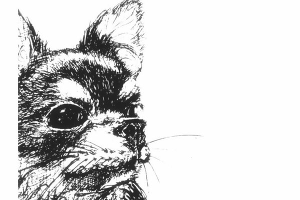 ボールペン画 の定番タグ記事一覧 Note つくる つながる とどける ボールペン画 の定番タグ記事一覧 Note つくる つながる とどける