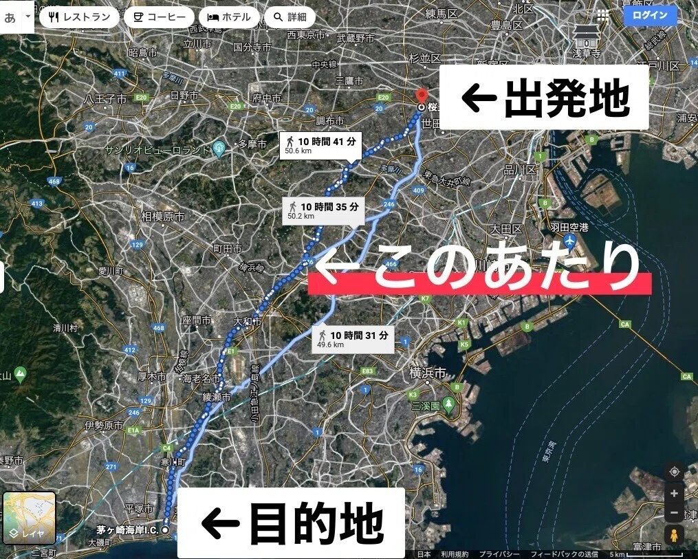 画像12