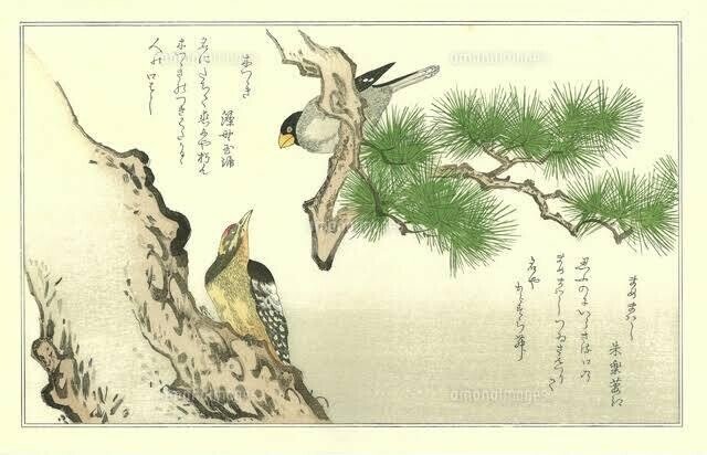 江戸の粋◇鳶頭◇第一区千組◇天然竹手提げ袋◇検索鳥越神社神田 江戸の粋◇鳶頭◇第一区千組◇天然竹手提げ袋◇検索鳥越神社神田