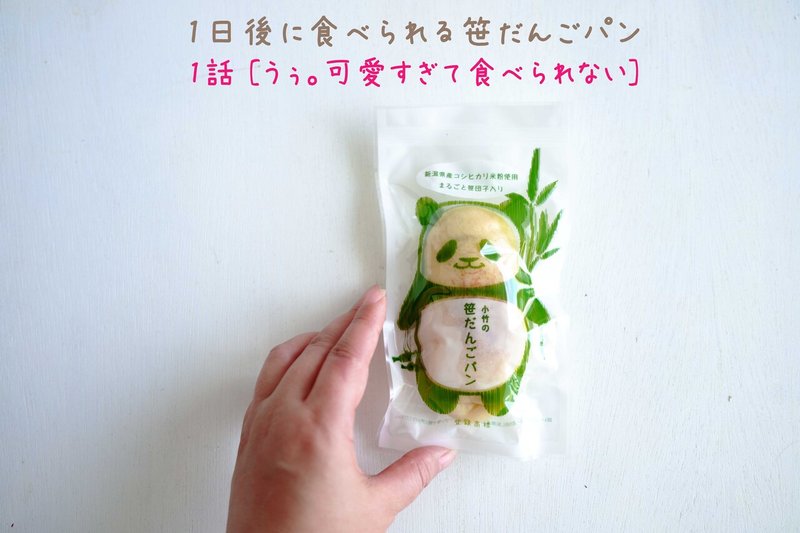 【食べられる笹パン】01SDIM1060 のコピー 2
