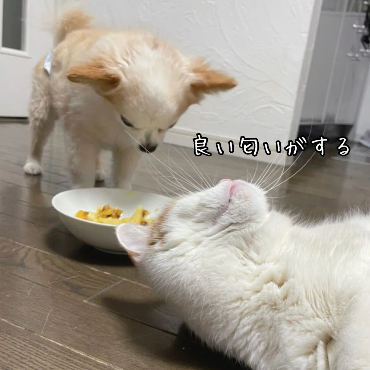 画像3