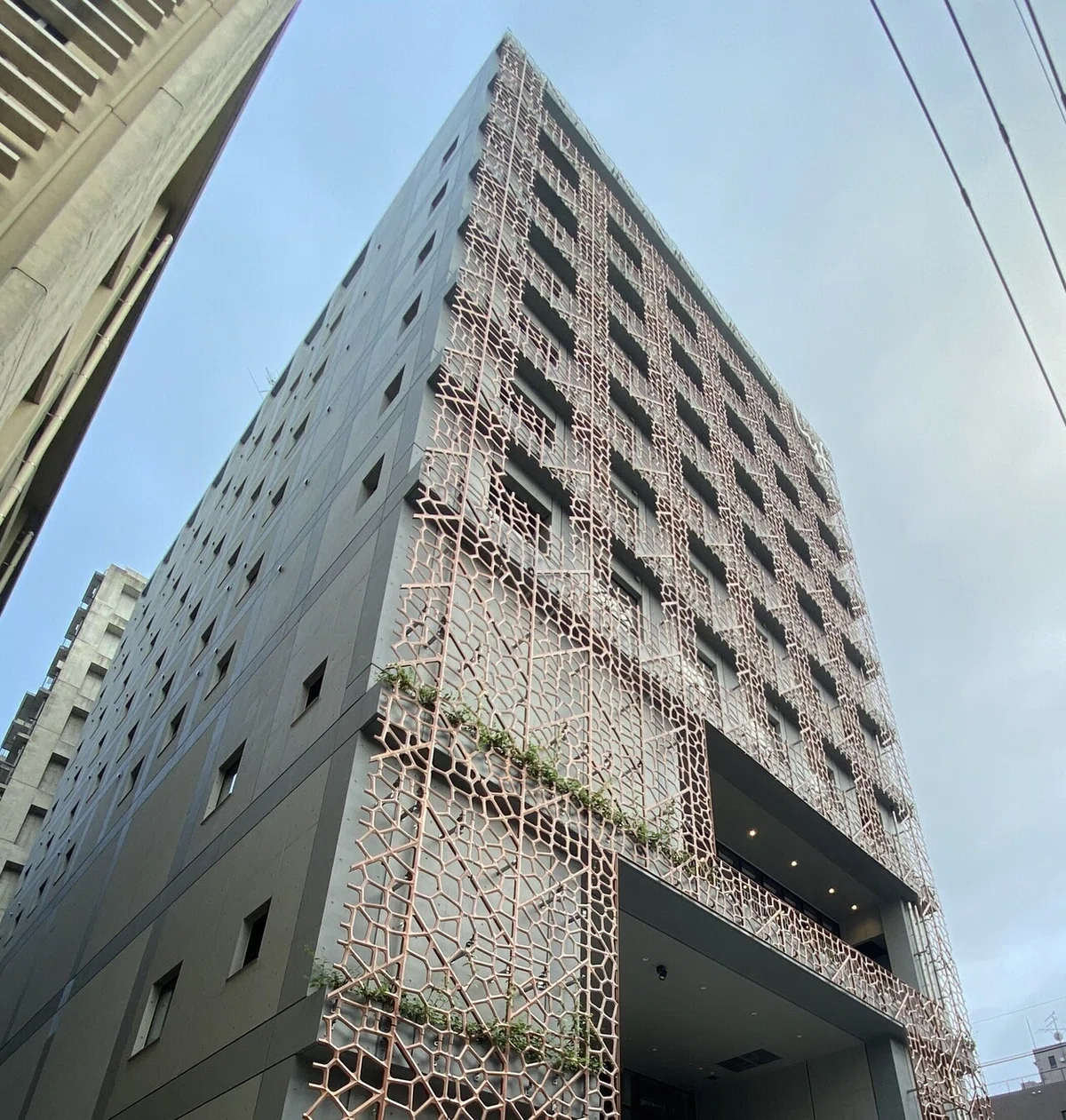 画像12
