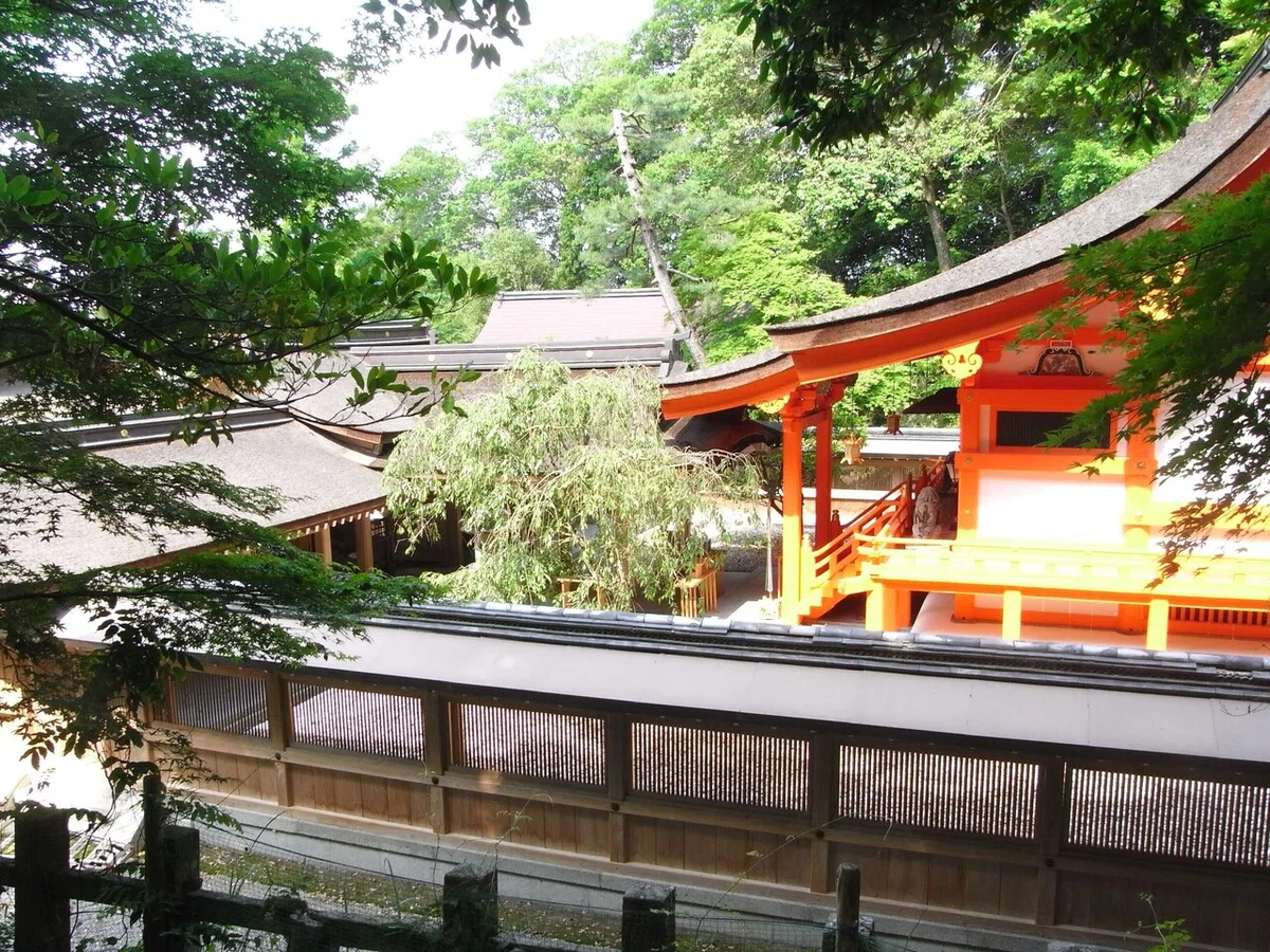 画像7