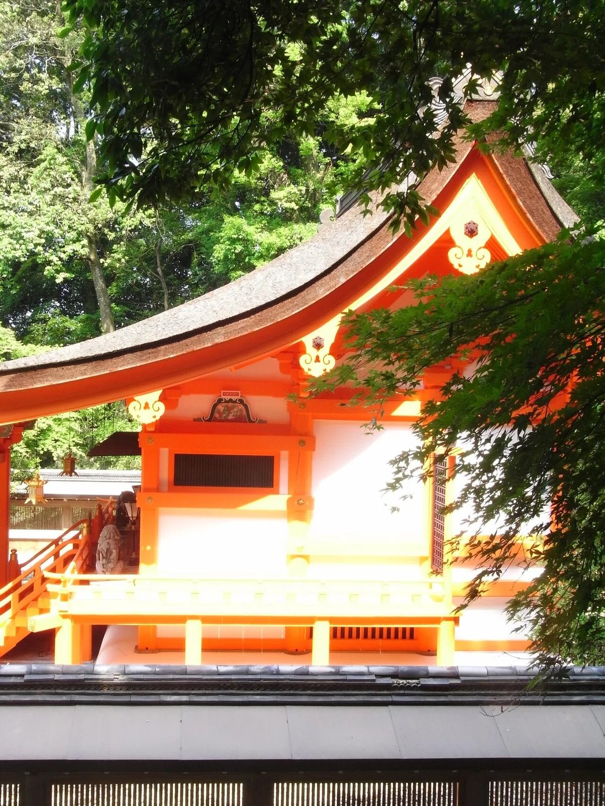 画像9