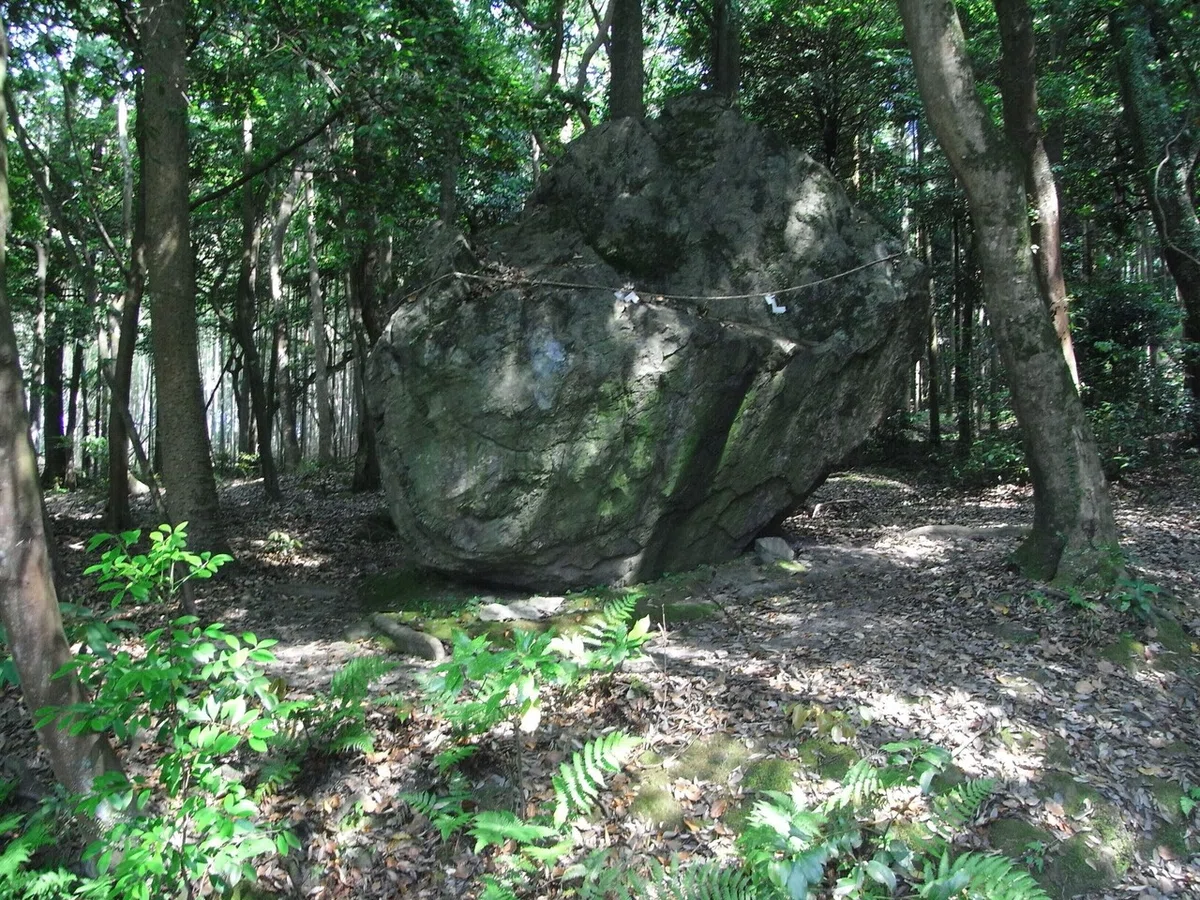 画像13