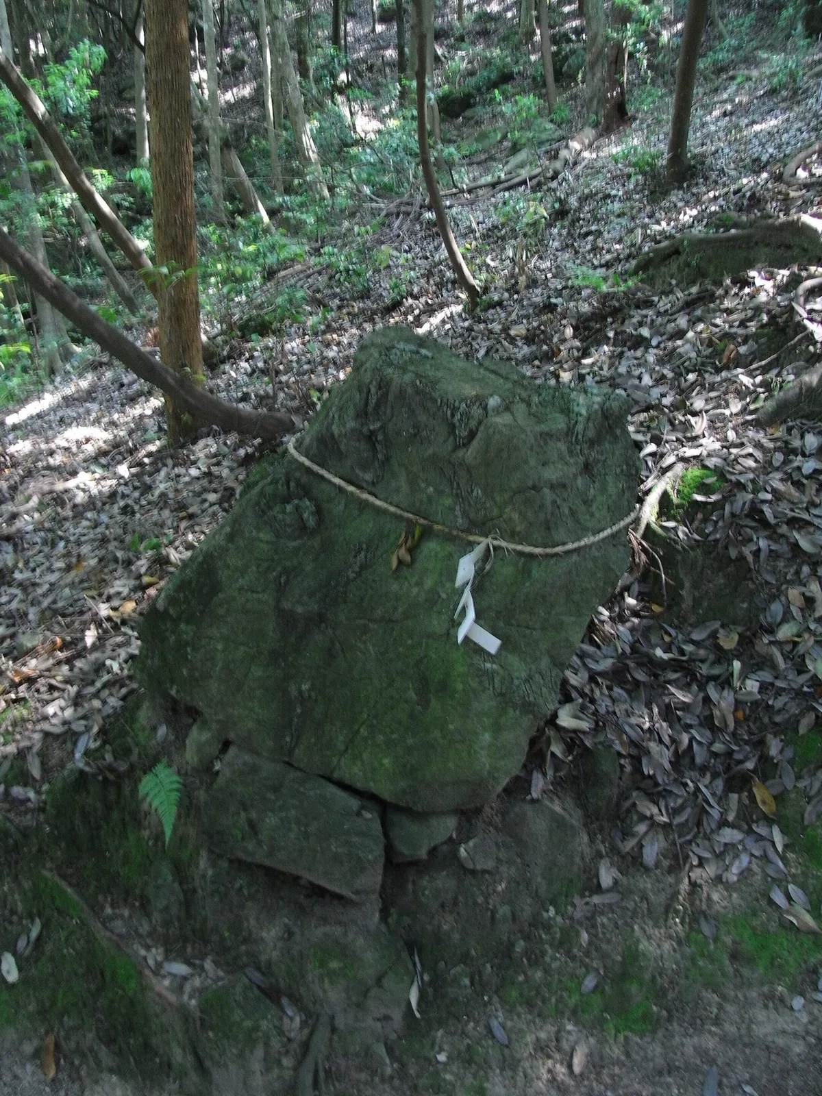 画像16